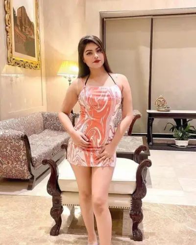 Escorts Service In Sonmarg